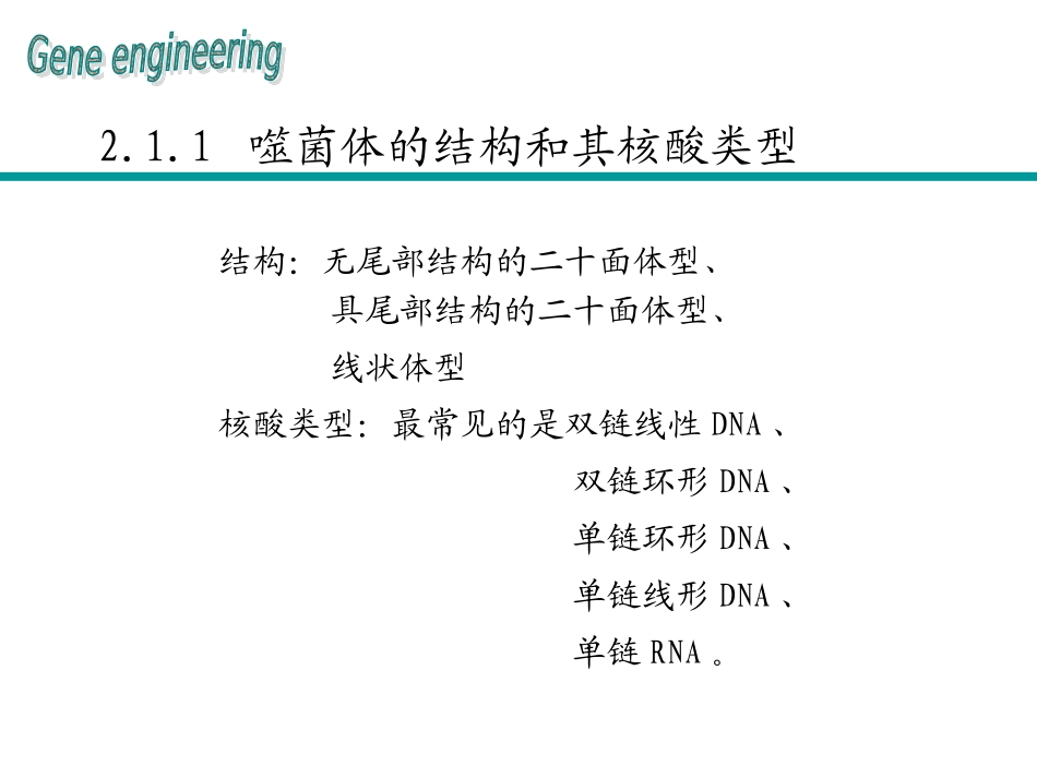 第四章基因克隆的载体噬菌体载体_第3页