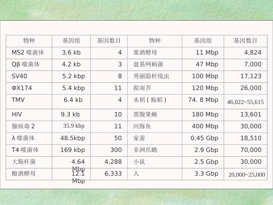 第四章基因组DNA分析_第3页