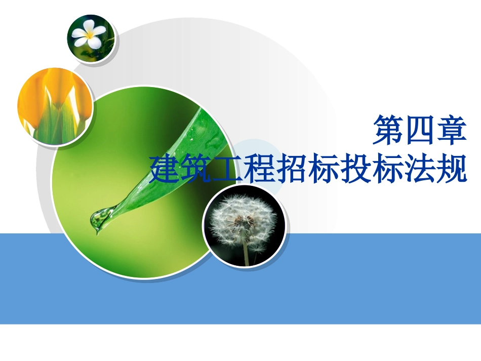 第四章建筑工程招标投标法规_第1页