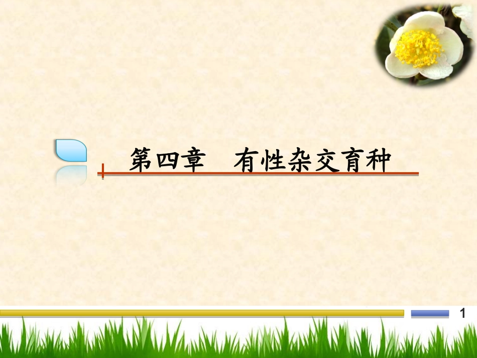 第四章有性杂交育种_第1页