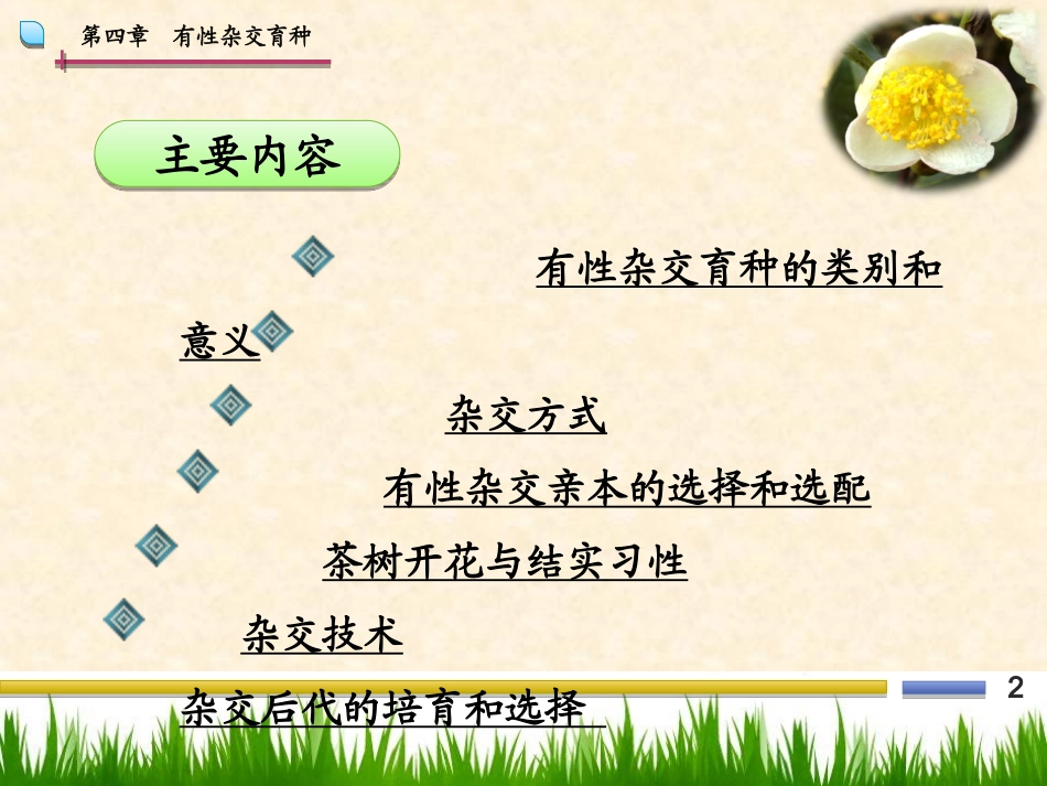第四章有性杂交育种_第2页