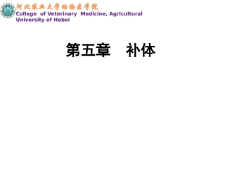 第五讲补体系统