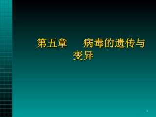 第五篇病毒的遗传与变异