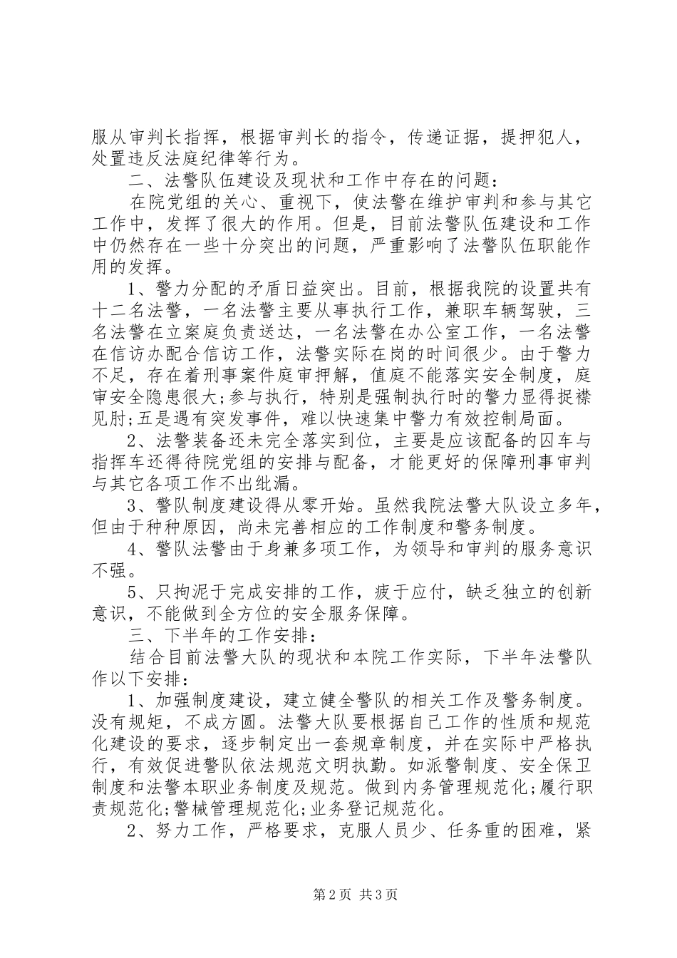司法警察大队工作总结范文_第2页