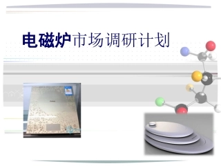 电磁炉市场调查报告