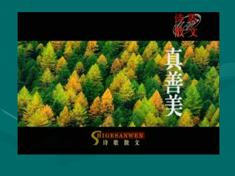 电视散文印象丽江系列_第2页