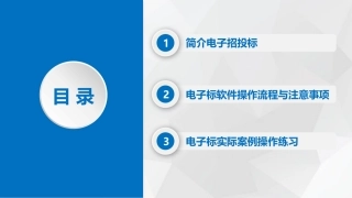 电子标投标报价操作流程