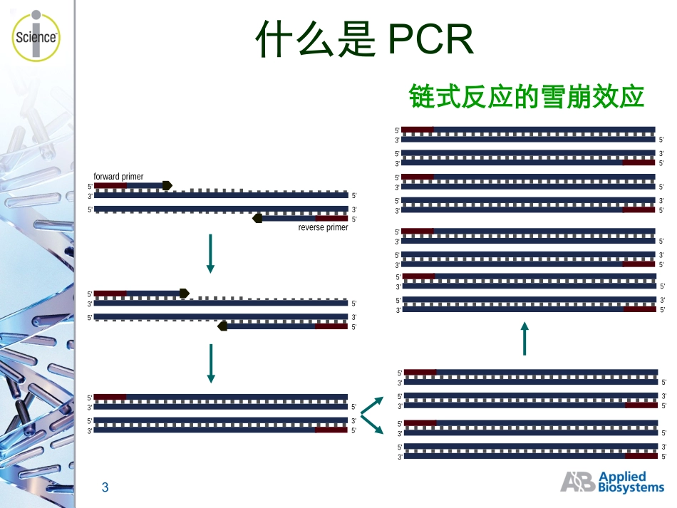 定量PCR原理及PCR仪光学原理_第3页
