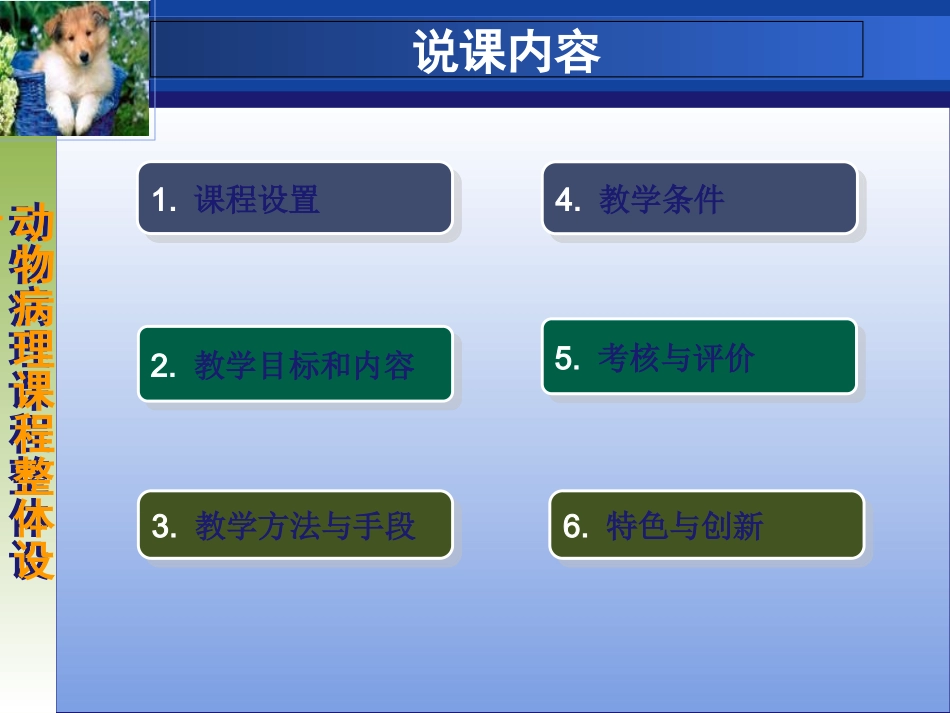 动物病理课程设计_第2页