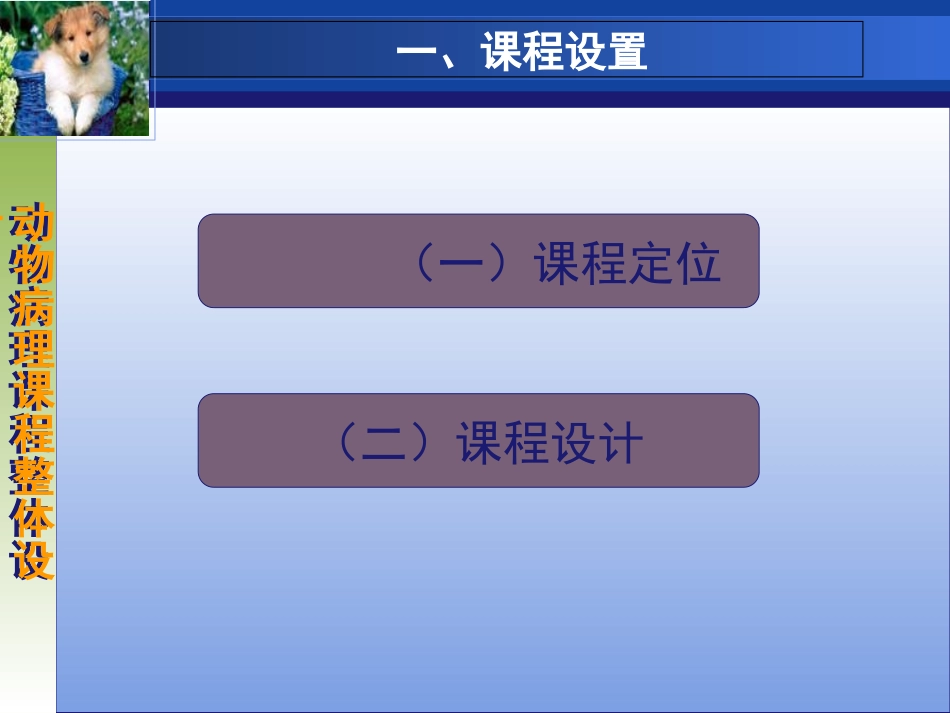 动物病理课程设计_第3页