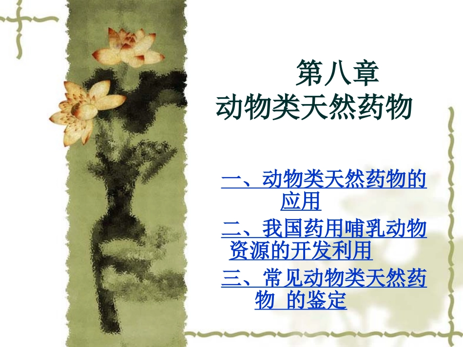 动物类天然药物_第1页