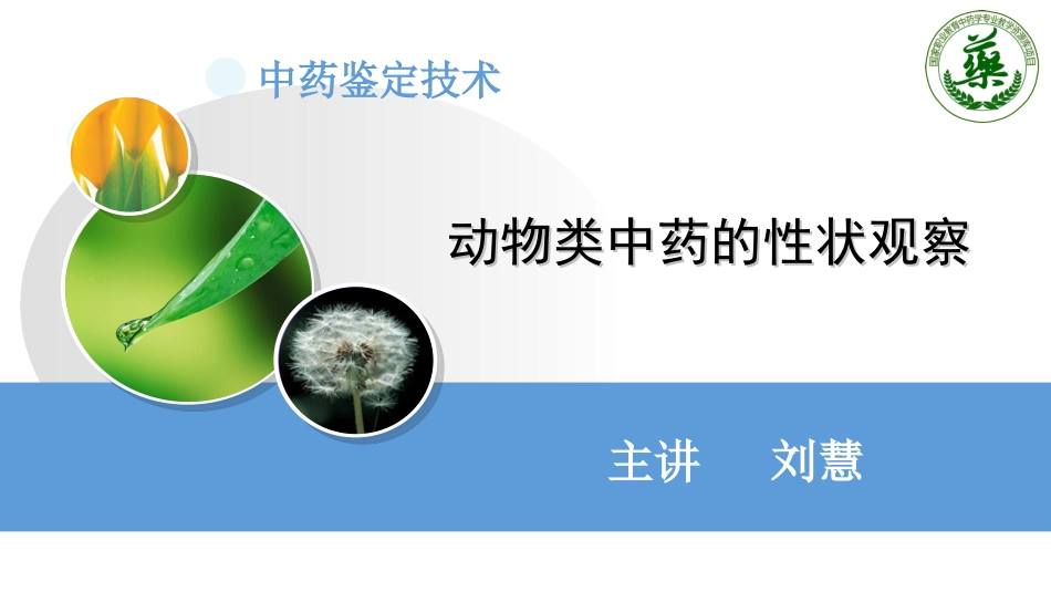 动物类中药性状观察精_第1页