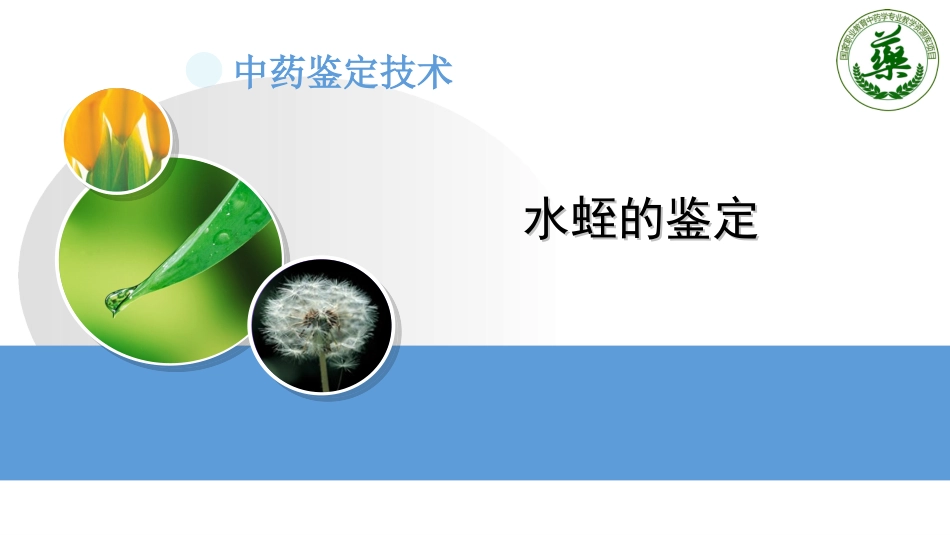 动物类中药性状观察精_第2页