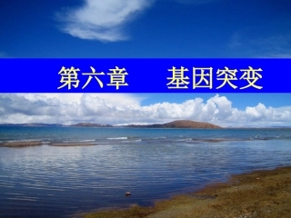 动物遗传学第六章基因突变