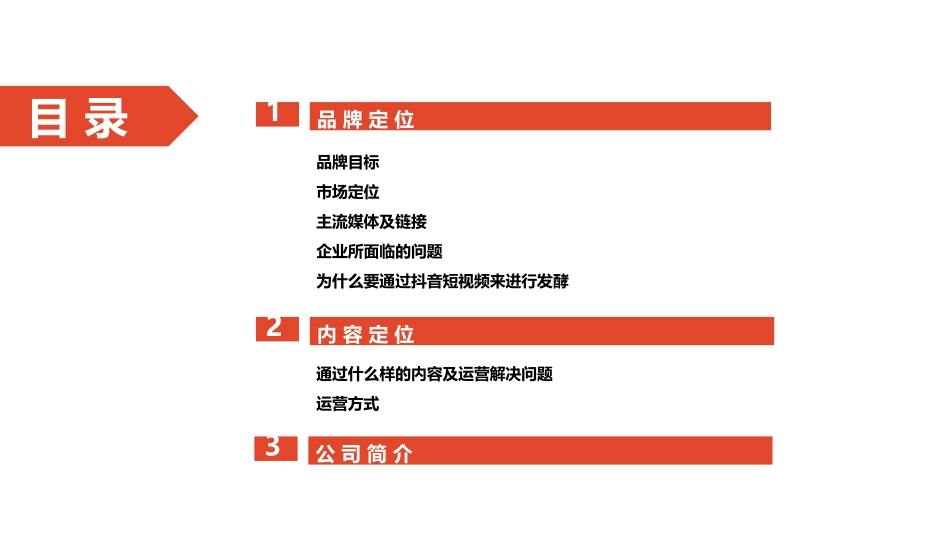 抖音短视频生态计划精品_第2页