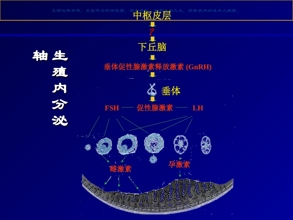 多囊卵巢综合征的病因诊疗和治疗课件_第2页