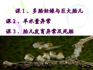 多胎妊娠巨大儿羊水异常