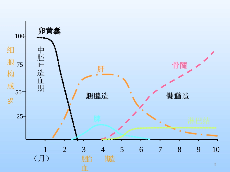 儿科学小儿贫血课件_第3页