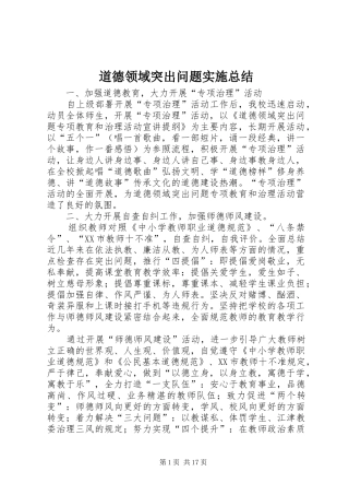 道德领域突出问题实施总结