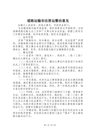道路运输非法营运整治意见