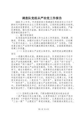 调查队党组从严治党工作报告