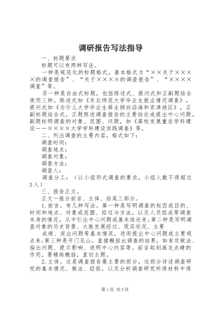 调研报告写法指导
