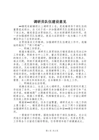 调研员队伍建设意见