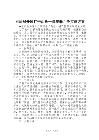 司法局开展打击两抢一盗犯罪斗争实施方案