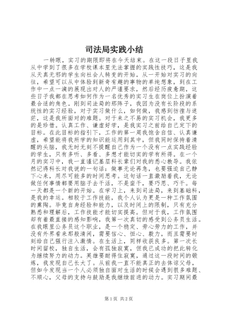 司法局实践小结