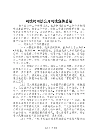 司法局司法公开司法宣传总结