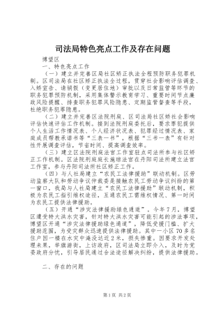 司法局特色亮点工作及存在问题