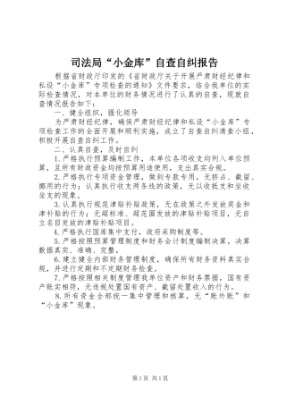 司法局小金库自查自纠报告