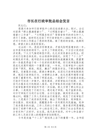 市长在行政审批总结会讲话