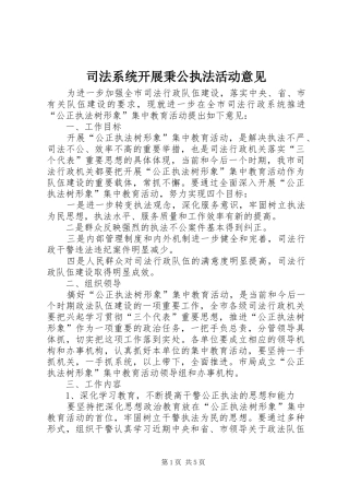 司法系统开展秉公执法活动意见