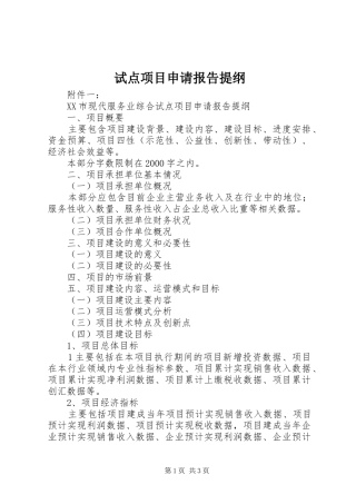 试点项目申请报告提纲