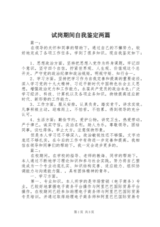 试岗期间自我鉴定两篇