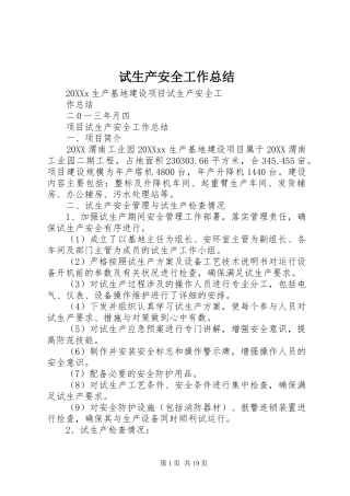 试生产安全工作总结