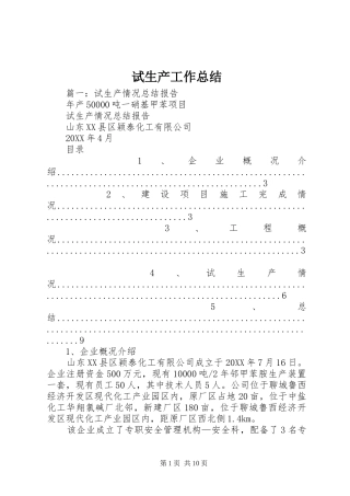 试生产工作总结