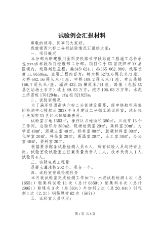 试验例会汇报材料