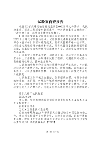 试验室自查报告
