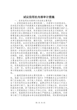 试议信用社内部审计措施