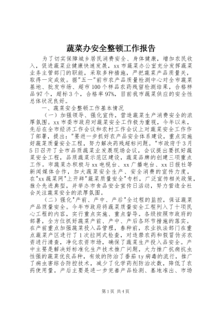 蔬菜办安全整顿工作报告
