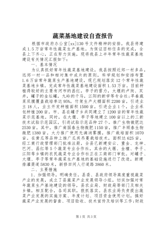 蔬菜基地建设自查报告