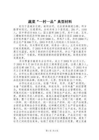 蔬菜一村一品典型材料