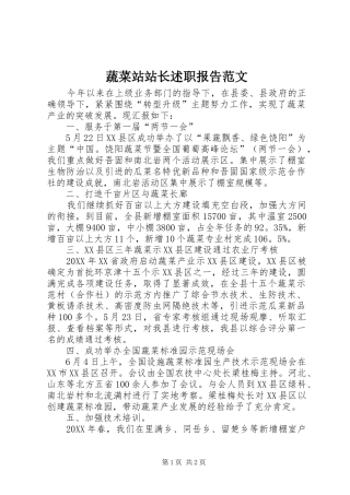 蔬菜站站长述职报告范文