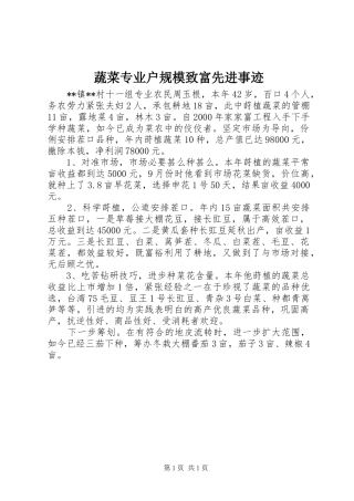 蔬菜专业户规模致富先进事迹