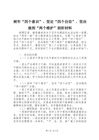 树牢四个意识坚定四个自信坚决做到两个维护剖析材料