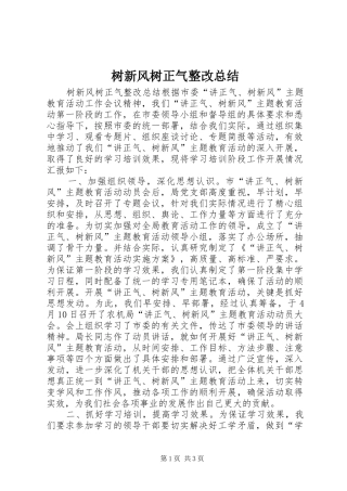 树新风树正气整改总结