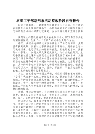 树组工干部新形象活动整改阶段自查报告