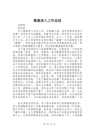 数据录入工作总结